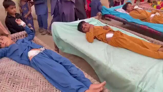 Organ Trafficking Scandal in Pakistan: 300+ Kidneys Illegally Removed in Punjab