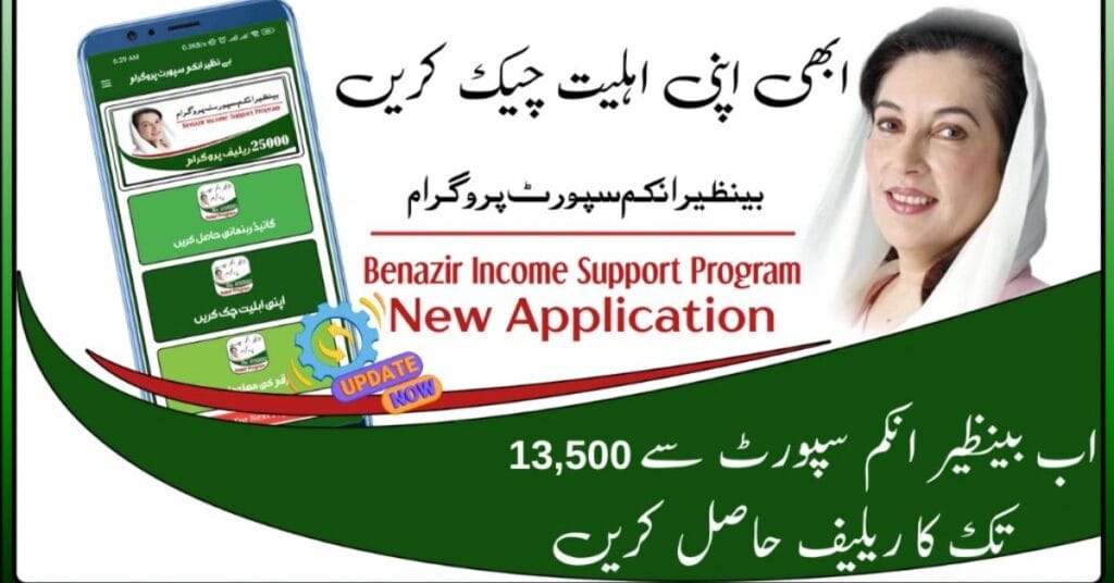 How to Use the BISP 8171 Portal