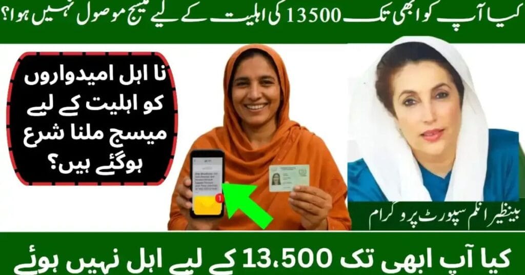 Entering CNIC number to check BISP 8171 online result.