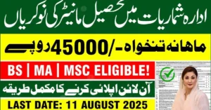 Tehsil Monitor Jobs 2025 announcement by Punjab Bureau of Statistics – Apply online before 11 August 2025