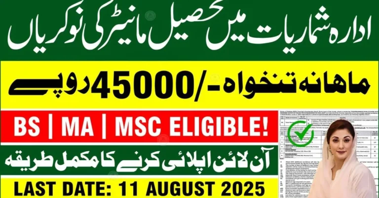 Tehsil Monitor Jobs 2025 announcement by Punjab Bureau of Statistics – Apply online before 11 August 2025